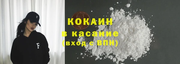 гашик Арсеньев