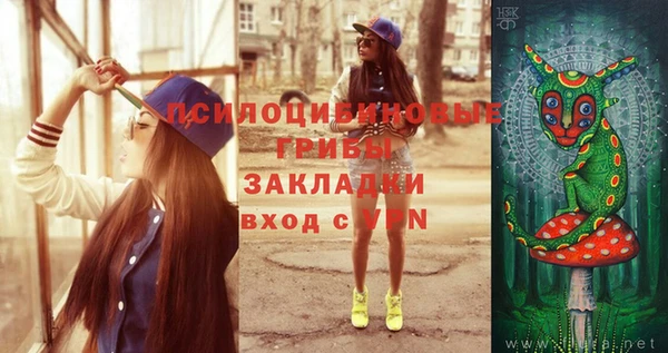 гашик Арсеньев