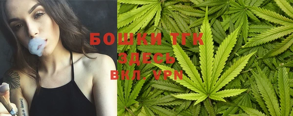 гашик Арсеньев