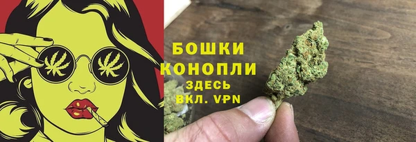 гашик Арсеньев